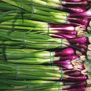 photo of green onion salad ingredients for longevity